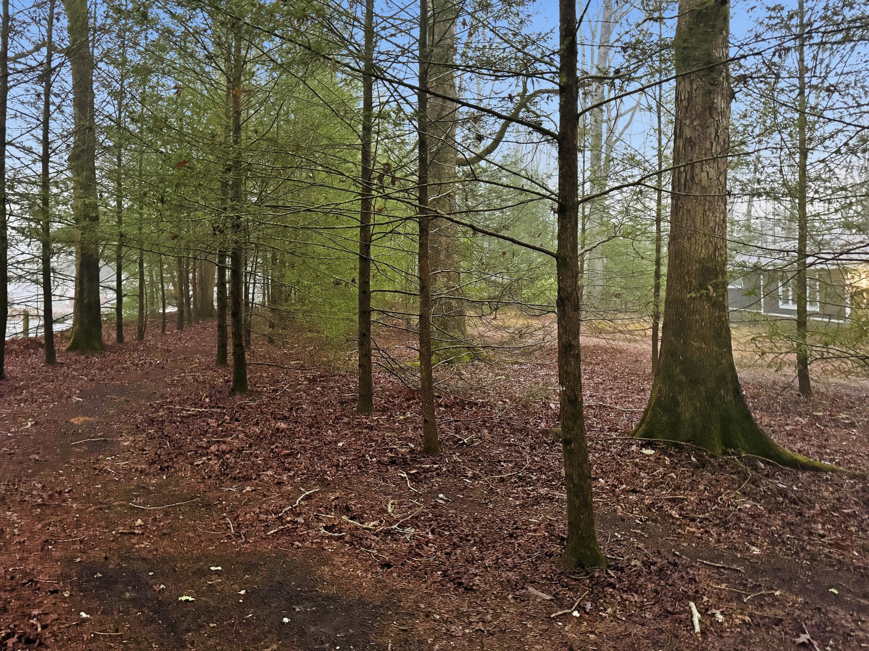 840 Eagle Furnace Road Rockwood, TN 37854 - Photo 31 of 40 IMG_7085