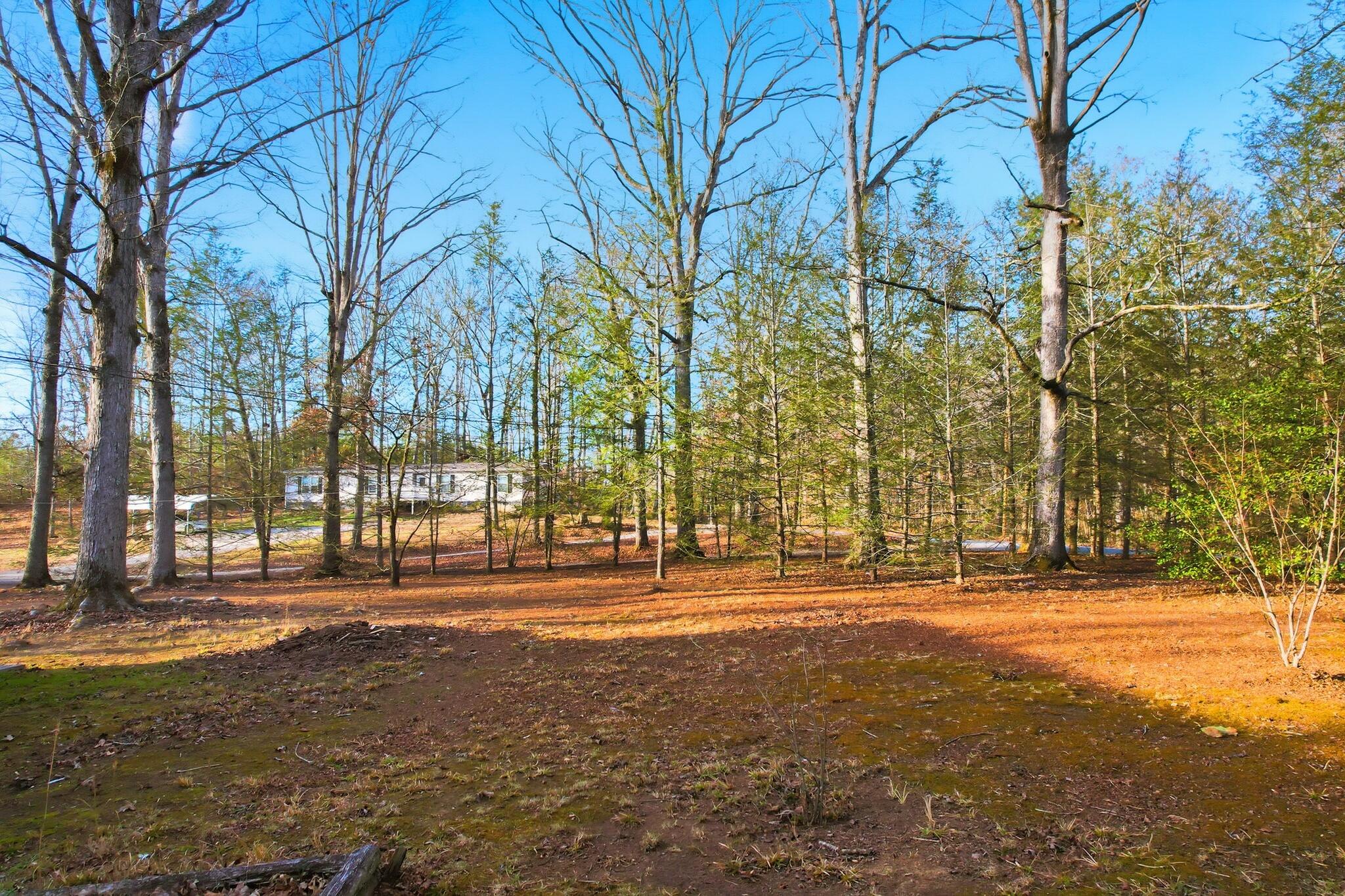 840 Eagle Furnace Road Rockwood, TN 37854 - Photo 36 of 40 3-web-or-mls-DJI_0497
