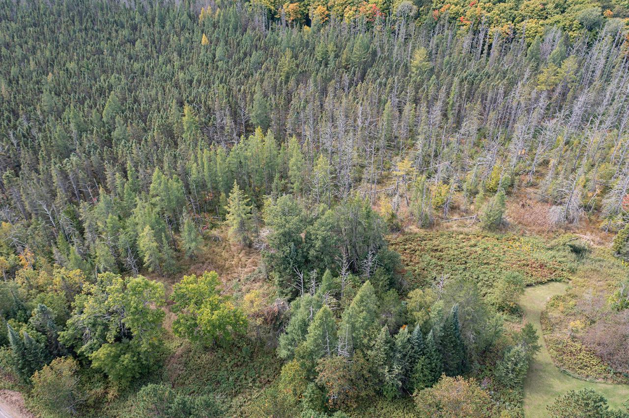 Lot 4 Kentuck Lake Road Phelps, WI 54554 - Photo 14 of 17 Gallery Image 14
