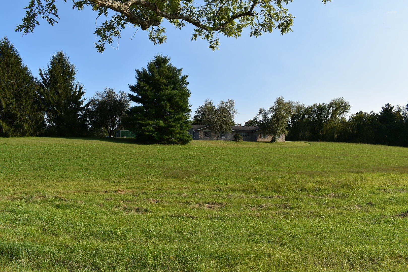 1513 Leatherwood Road Oneida, TN 37841 - Photo 4 of 37 a view of a garden with a tree