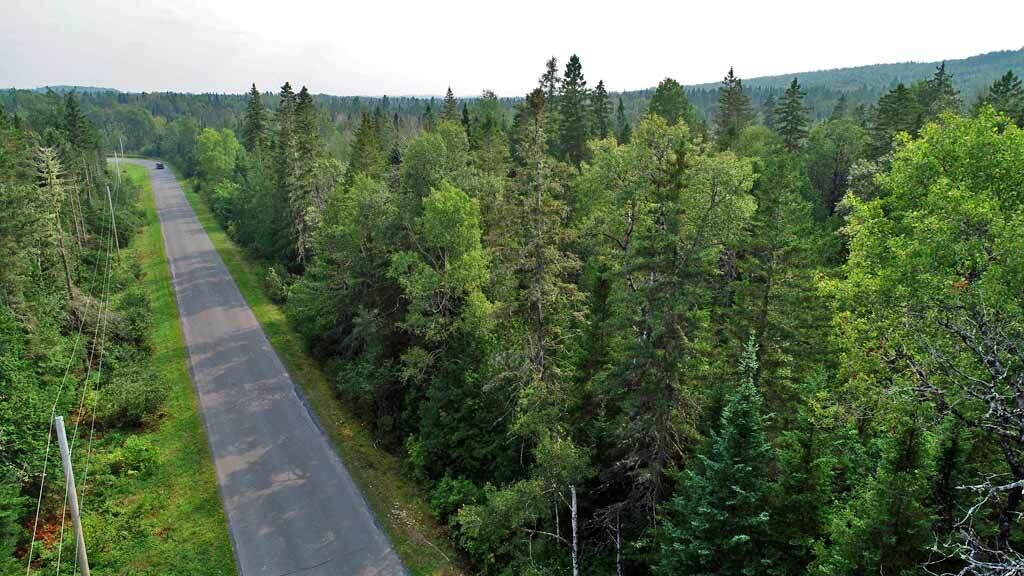 Lot 121 East Road New Sweden, ME 04762 - Photo 27 of 29 new-sweden-northern-me-land