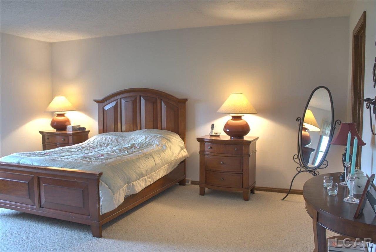 6111 Clinton Macon Road Clinton, MI 49236 - Photo 10 of 38