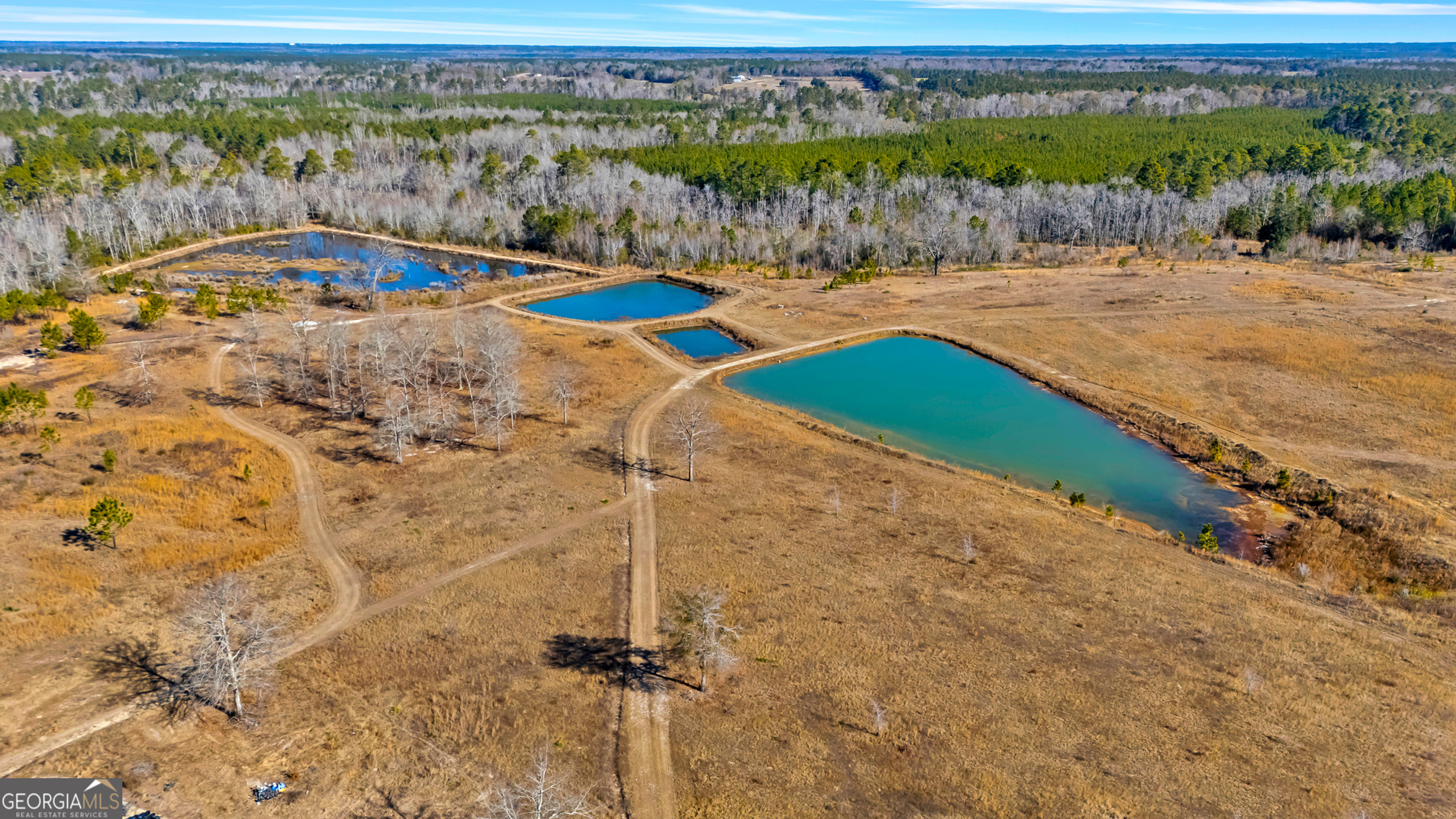 1039 Womack Road East Garfield, GA 30425 - Photo 6 of 54 Gallery Image 6