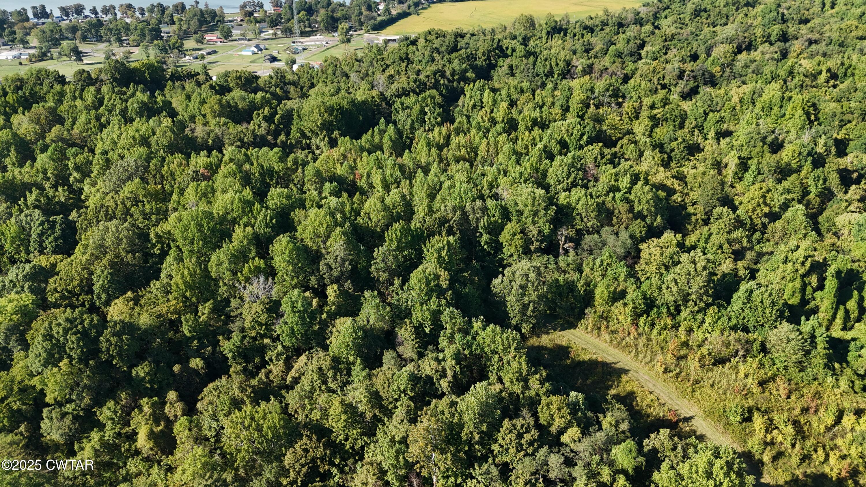 0 Dean Hill Road Hornbeak, TN 38232 - Photo 11 of 57 DJI_20251001154832_0269_D