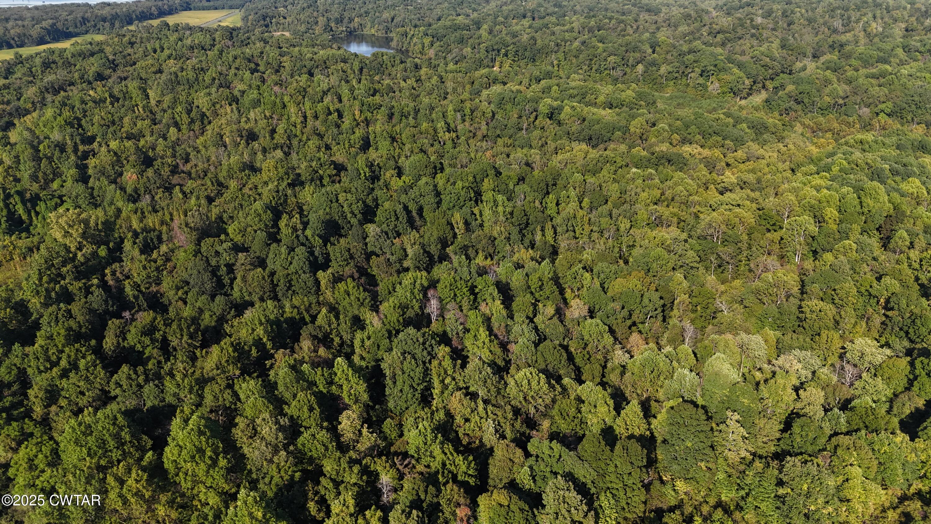 0 Dean Hill Road Hornbeak, TN 38232 - Photo 13 of 57 DJI_20251001155354_0298_D