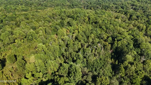 $219,500 | 0 Dean Hill Road, Hornbeak, TN 38232