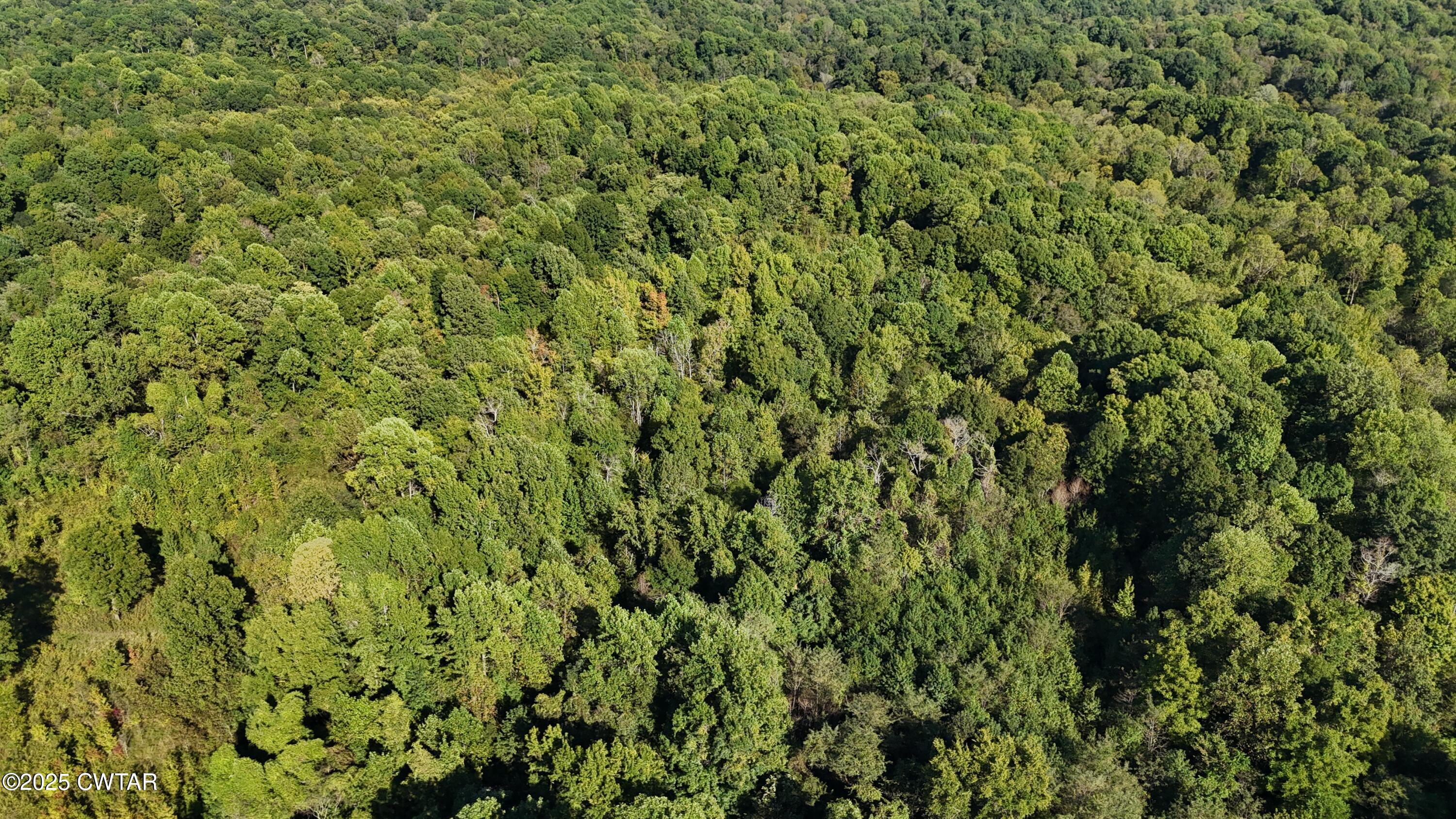 0 Dean Hill Road Hornbeak, TN 38232 - Photo 14 of 57 DJI_20251001154750_0266_D