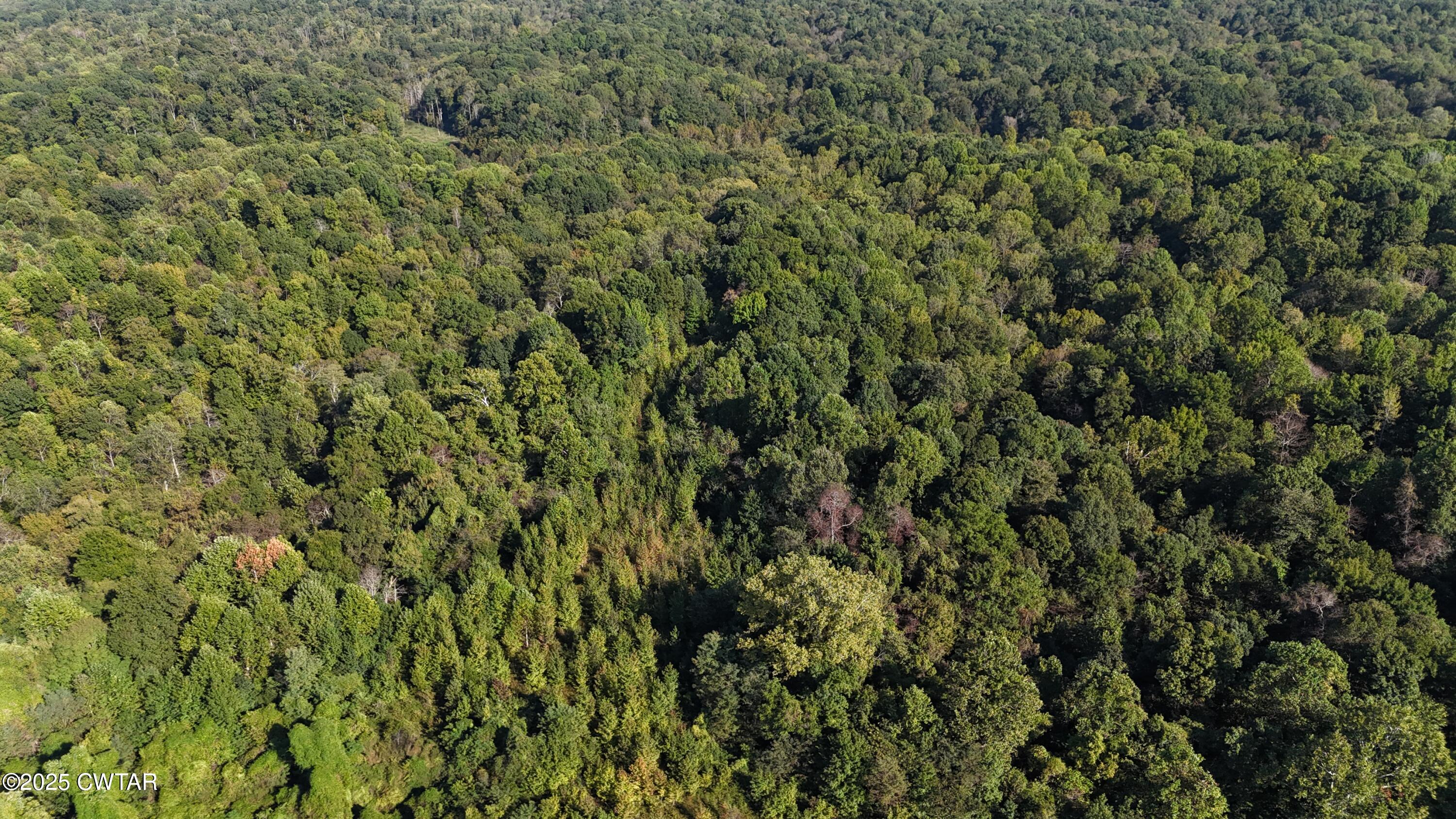 0 Dean Hill Road Hornbeak, TN 38232 - Photo 15 of 57 DJI_20251001154906_0271_D