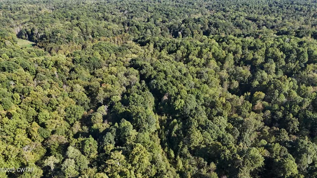 $219,500 | 0 Dean Hill Road, Hornbeak, TN 38232