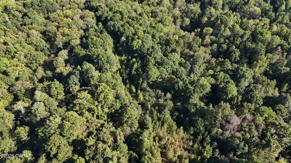 $219,500 | 0 Dean Hill Road, Hornbeak, TN 38232