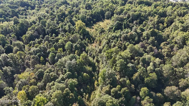 $219,500 | 0 Dean Hill Road, Hornbeak, TN 38232