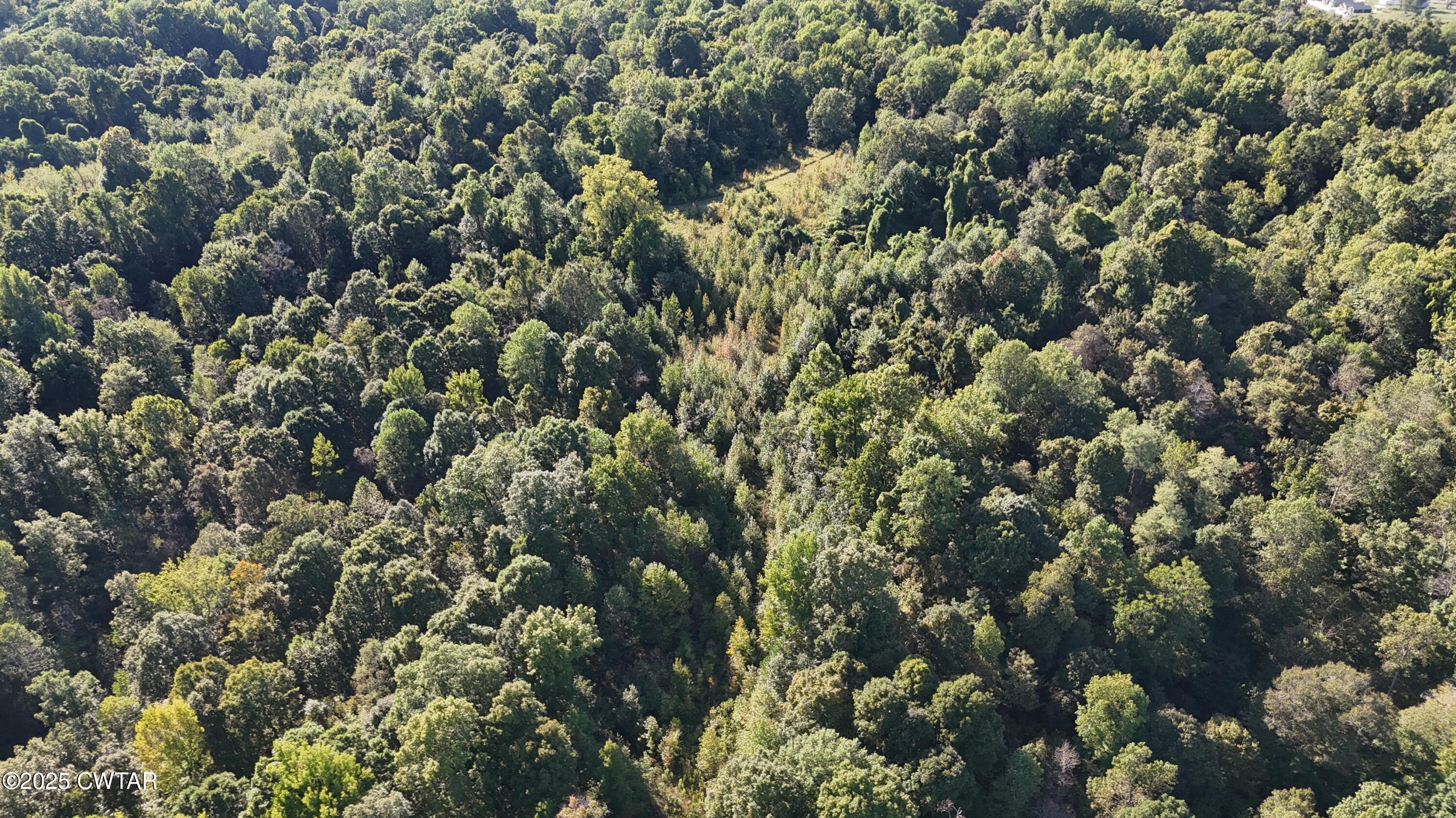 0 Dean Hill Road Hornbeak, TN 38232 - Photo 18 of 57 DJI_20251001155028_0278_D