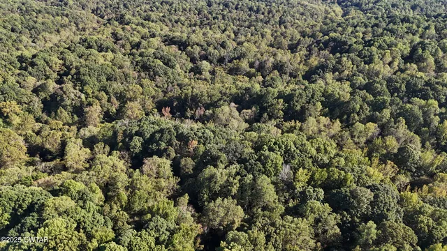 $219,500 | 0 Dean Hill Road, Hornbeak, TN 38232