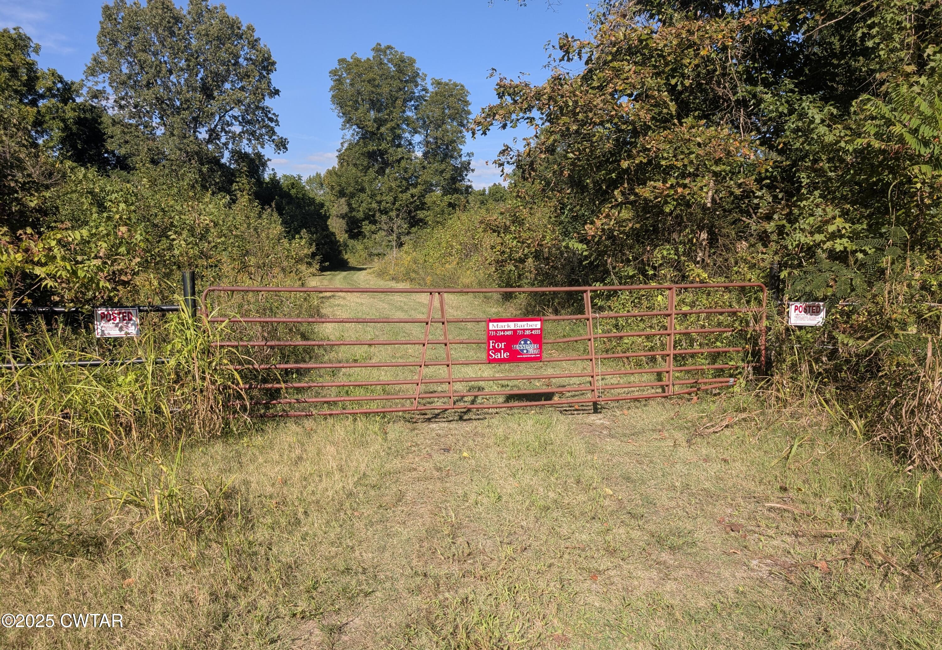 0 Dean Hill Road Hornbeak, TN 38232 - Photo 20 of 57 PXL_20251001_204055695