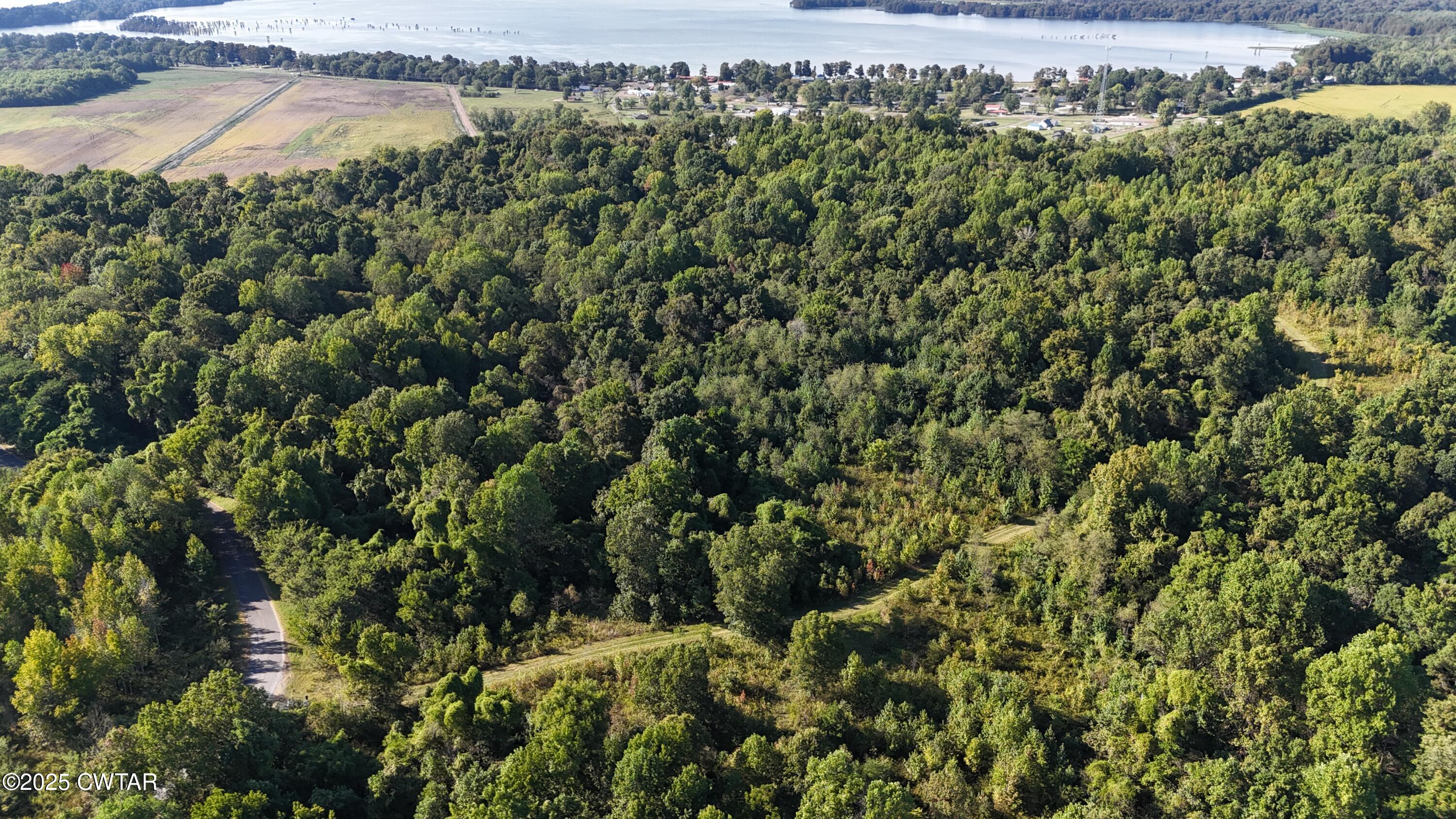 0 Dean Hill Road Hornbeak, TN 38232 - Photo 2 of 57 DJI_20251001155322_0294_D