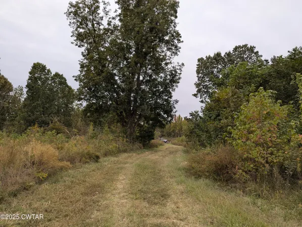 $219,500 | 0 Dean Hill Road, Hornbeak, TN 38232