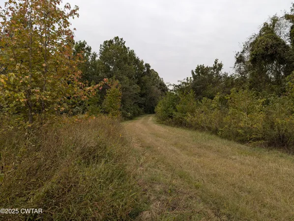 $219,500 | 0 Dean Hill Road, Hornbeak, TN 38232
