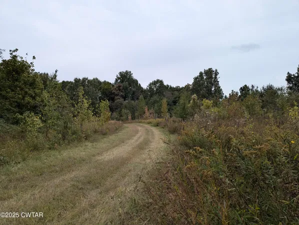 $219,500 | 0 Dean Hill Road, Hornbeak, TN 38232