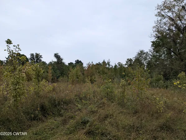 $219,500 | 0 Dean Hill Road, Hornbeak, TN 38232