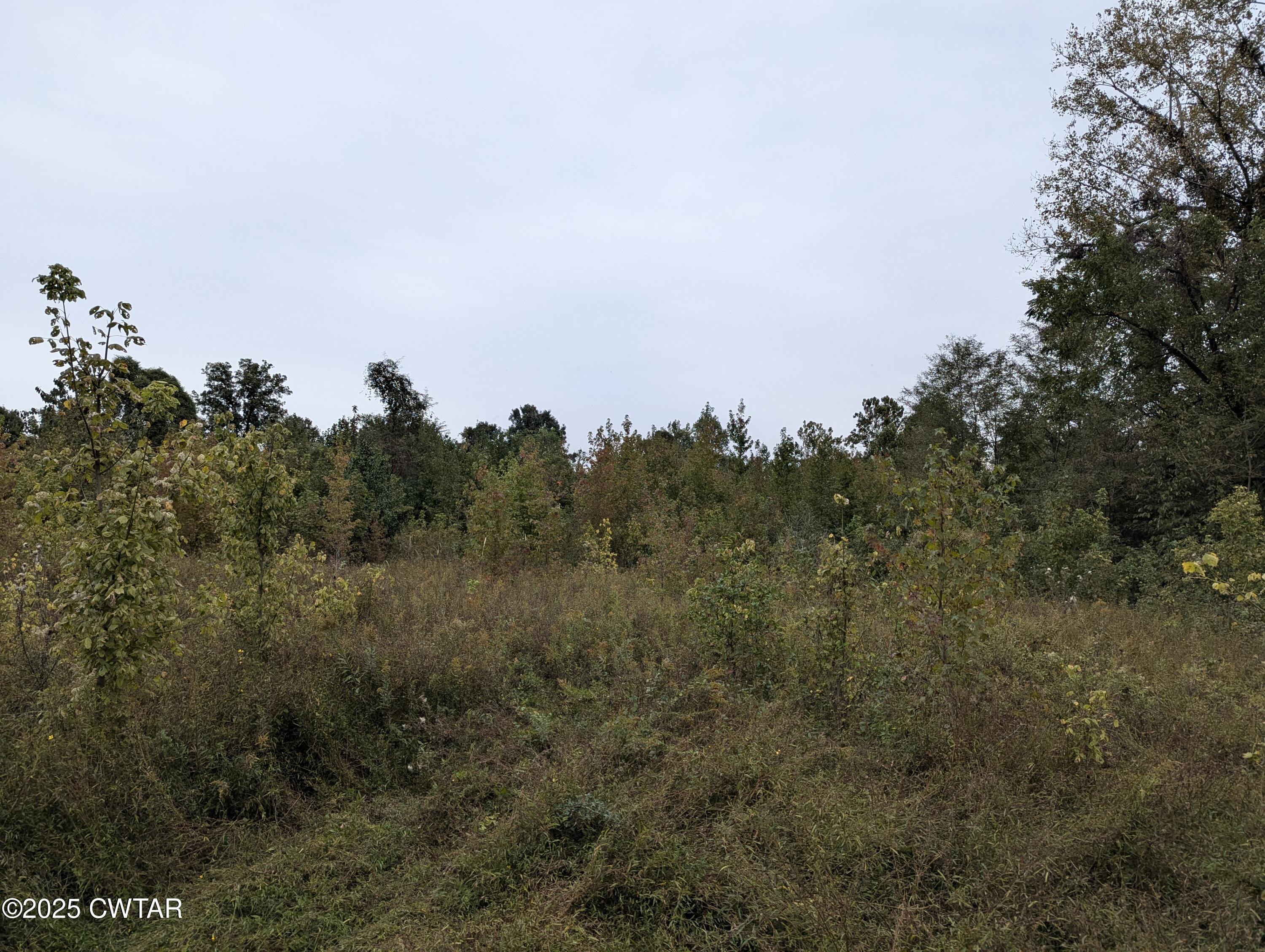 0 Dean Hill Road Hornbeak, TN 38232 - Photo 27 of 57 PXL_20241015_183905443