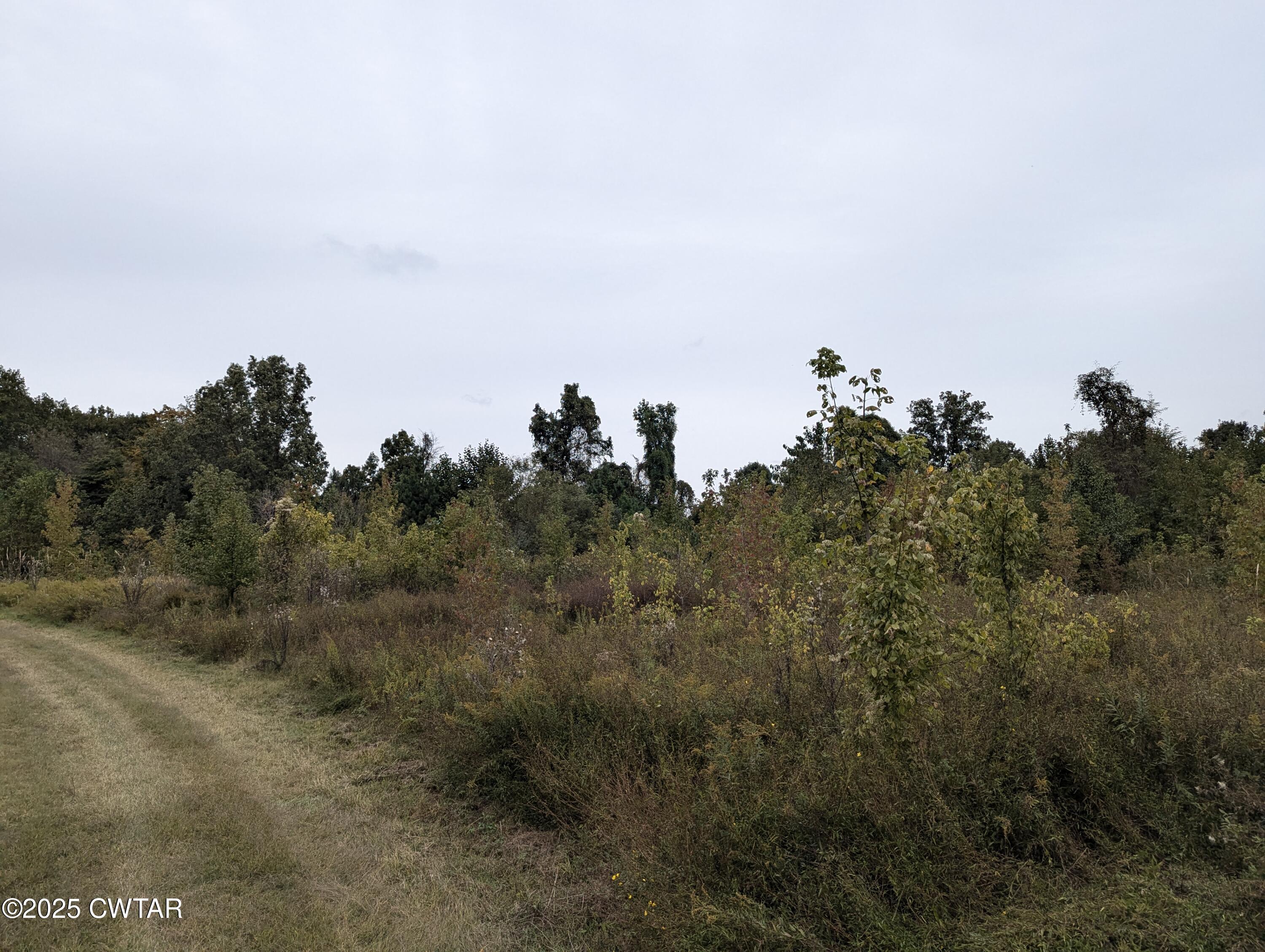 0 Dean Hill Road Hornbeak, TN 38232 - Photo 28 of 57 PXL_20241015_183907529