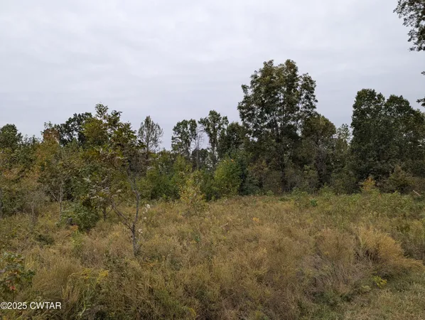 $219,500 | 0 Dean Hill Road, Hornbeak, TN 38232