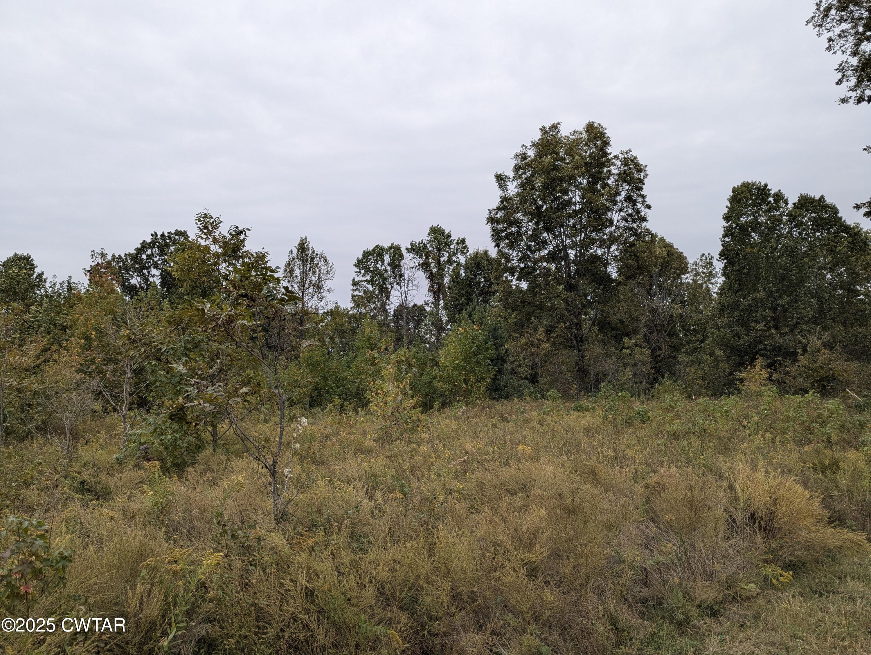 0 Dean Hill Road Hornbeak, TN 38232 - Photo 30 of 57 PXL_20241015_184247454