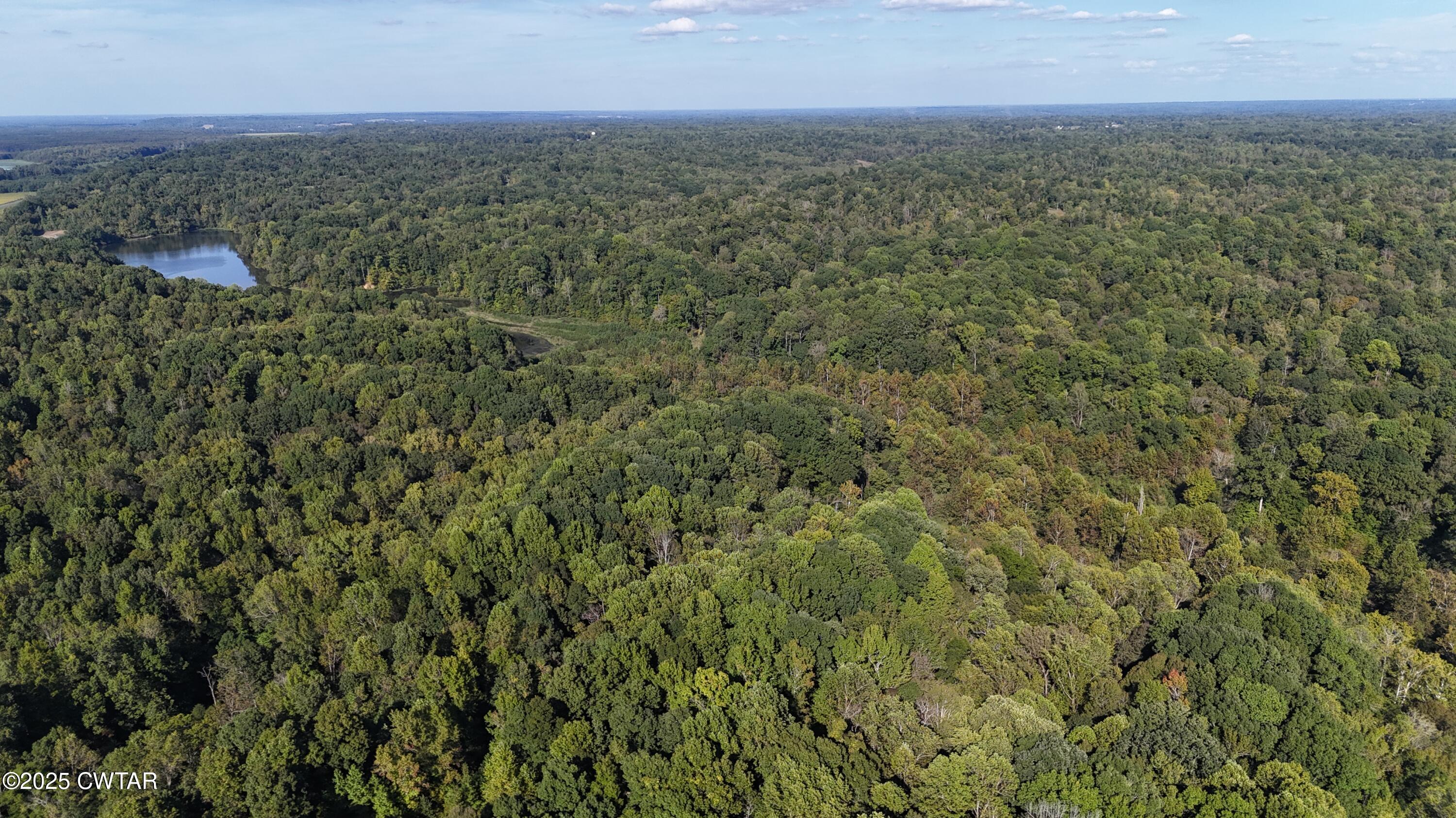 0 Dean Hill Road Hornbeak, TN 38232 - Photo 3 of 57 DJI_20251001155233_0288_D