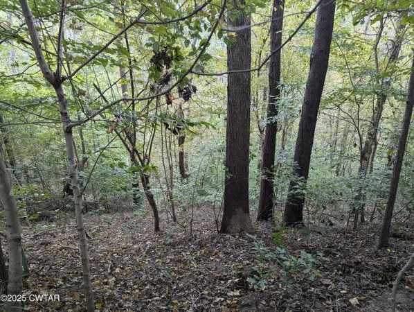 $219,500 | 0 Dean Hill Road, Hornbeak, TN 38232