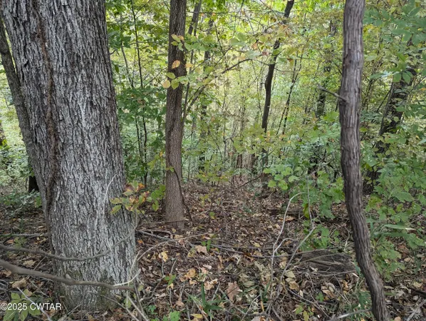 $219,500 | 0 Dean Hill Road, Hornbeak, TN 38232