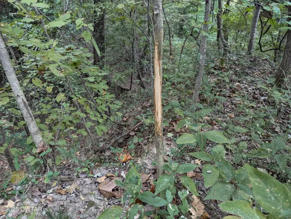 $219,500 | 0 Dean Hill Road, Hornbeak, TN 38232