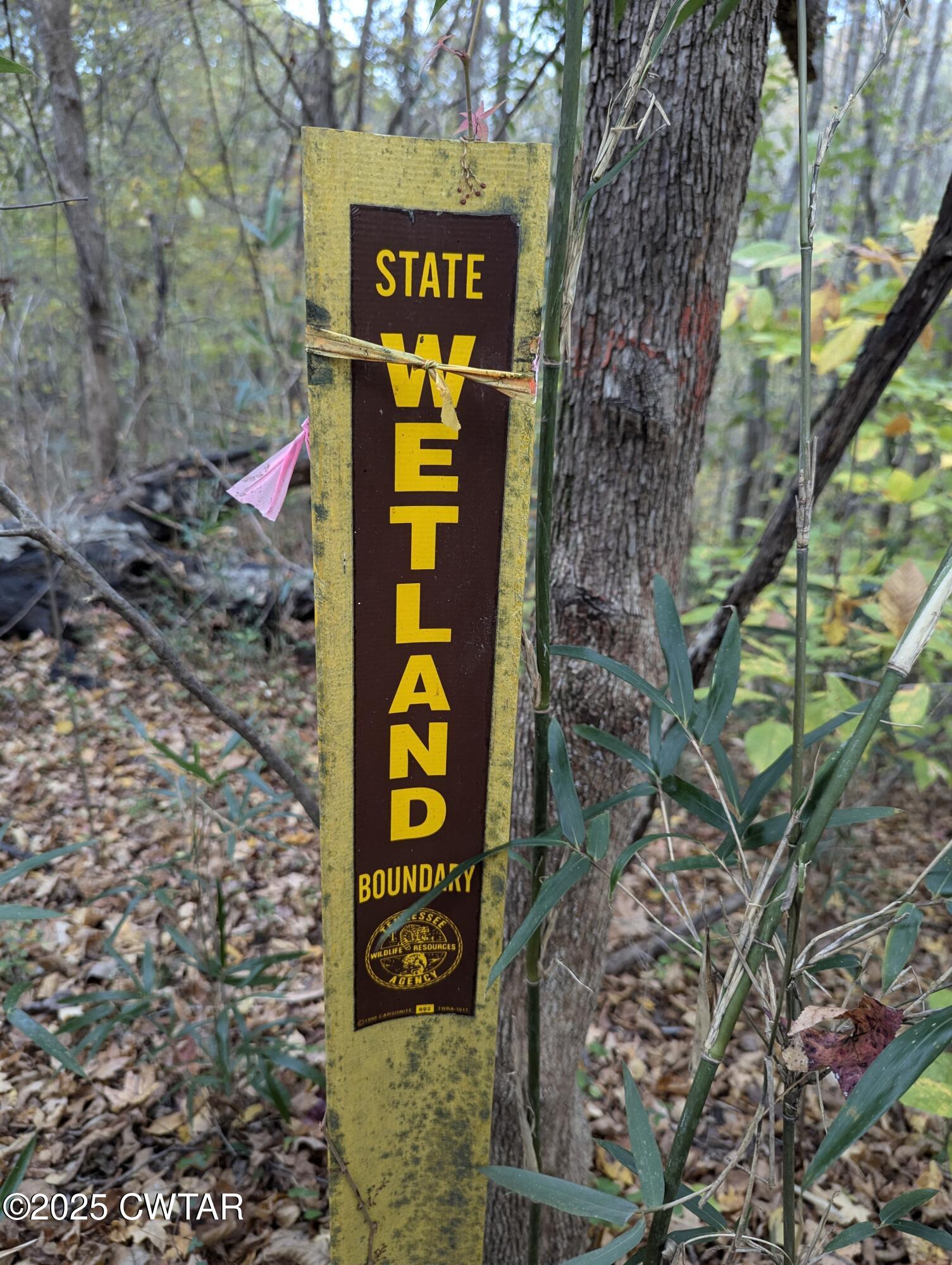 0 Dean Hill Road Hornbeak, TN 38232 - Photo 40 of 57 PXL_20241104_222741880