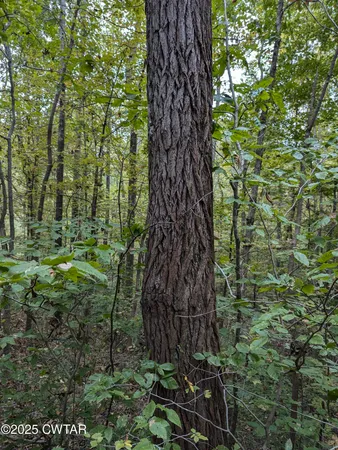 $219,500 | 0 Dean Hill Road, Hornbeak, TN 38232