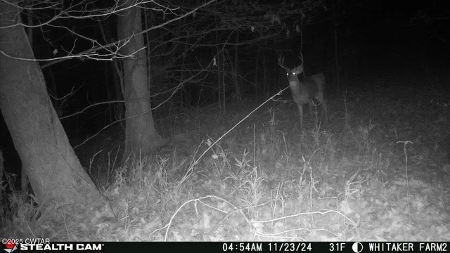 $219,500 | 0 Dean Hill Road, Hornbeak, TN 38232