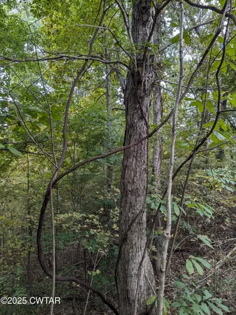 $219,500 | 0 Dean Hill Road, Hornbeak, TN 38232