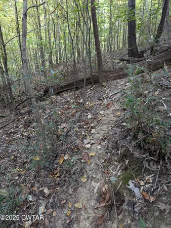 $219,500 | 0 Dean Hill Road, Hornbeak, TN 38232