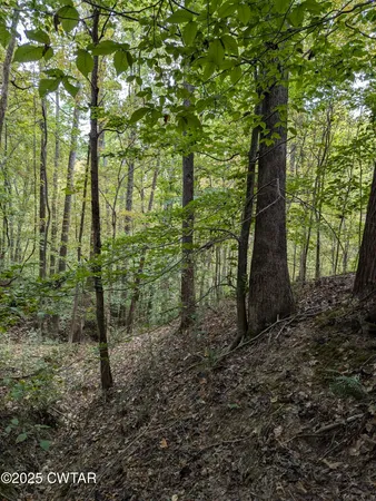 $219,500 | 0 Dean Hill Road, Hornbeak, TN 38232