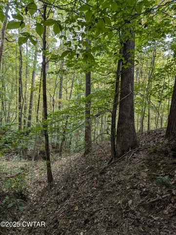 $219,500 | 0 Dean Hill Road, Hornbeak, TN 38232