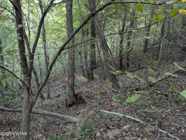 $219,500 | 0 Dean Hill Road, Hornbeak, TN 38232