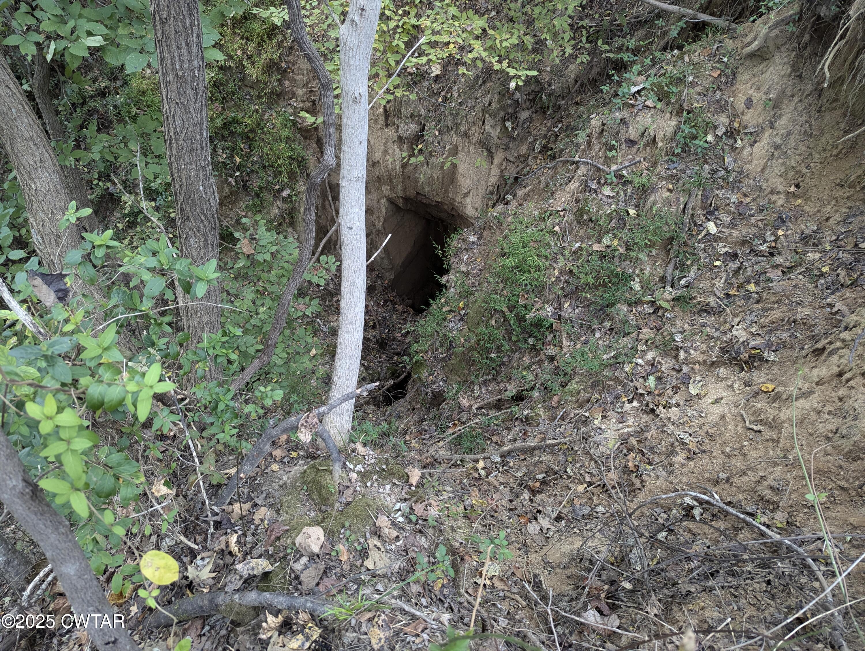 0 Dean Hill Road Hornbeak, TN 38232 - Photo 49 of 57 PXL_20241015_182052313