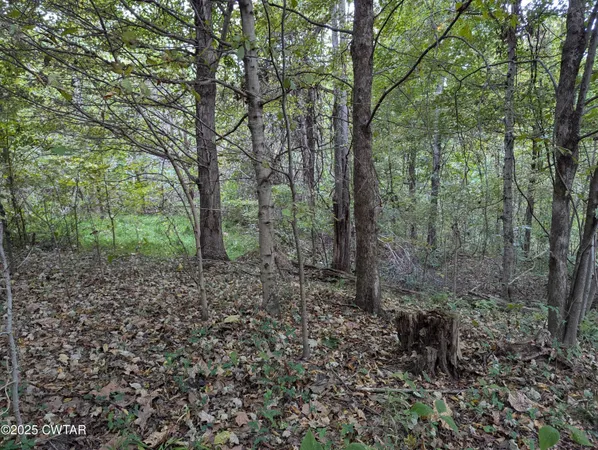 $219,500 | 0 Dean Hill Road, Hornbeak, TN 38232