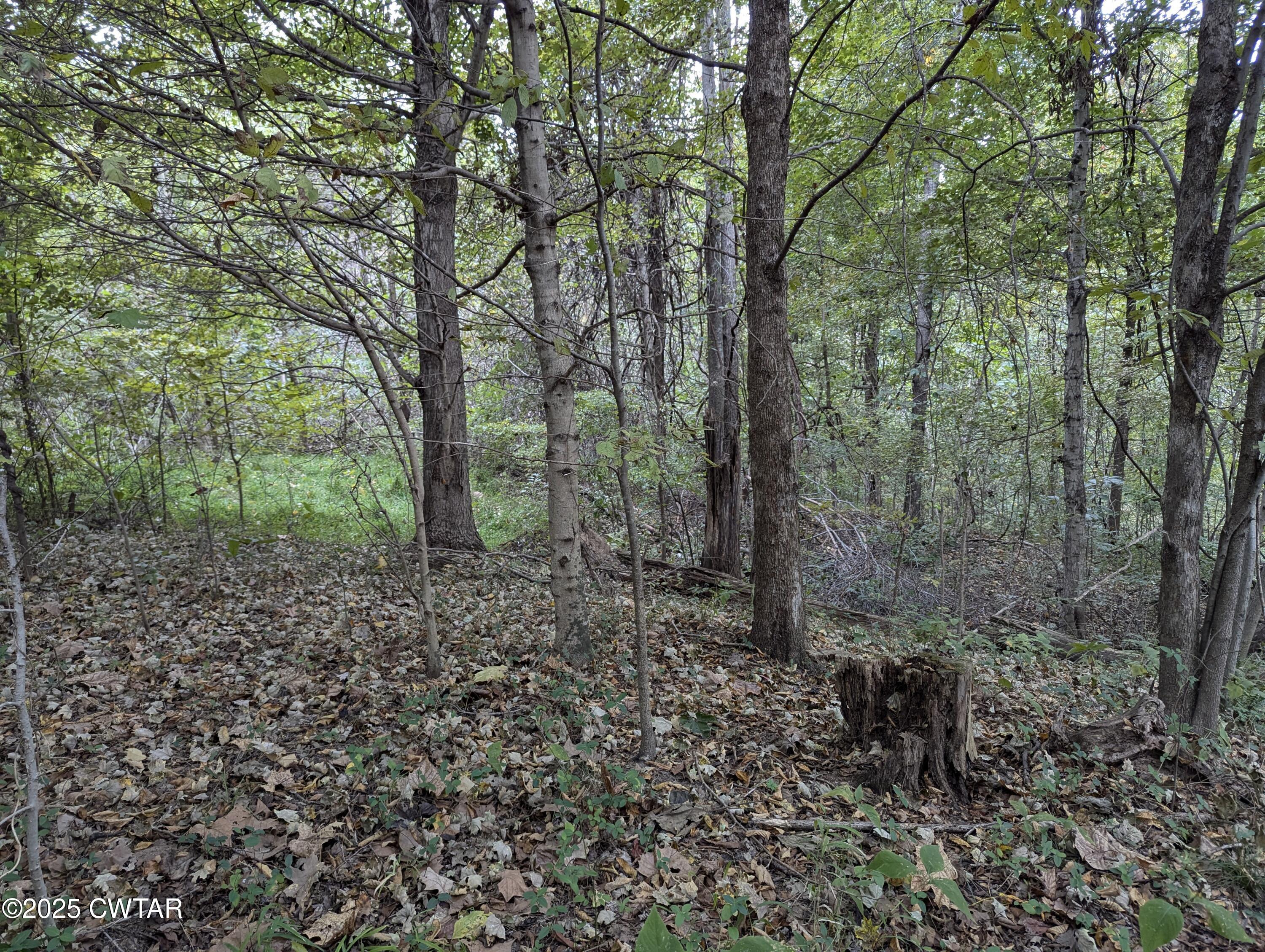 0 Dean Hill Road Hornbeak, TN 38232 - Photo 50 of 57 PXL_20241015_183347125