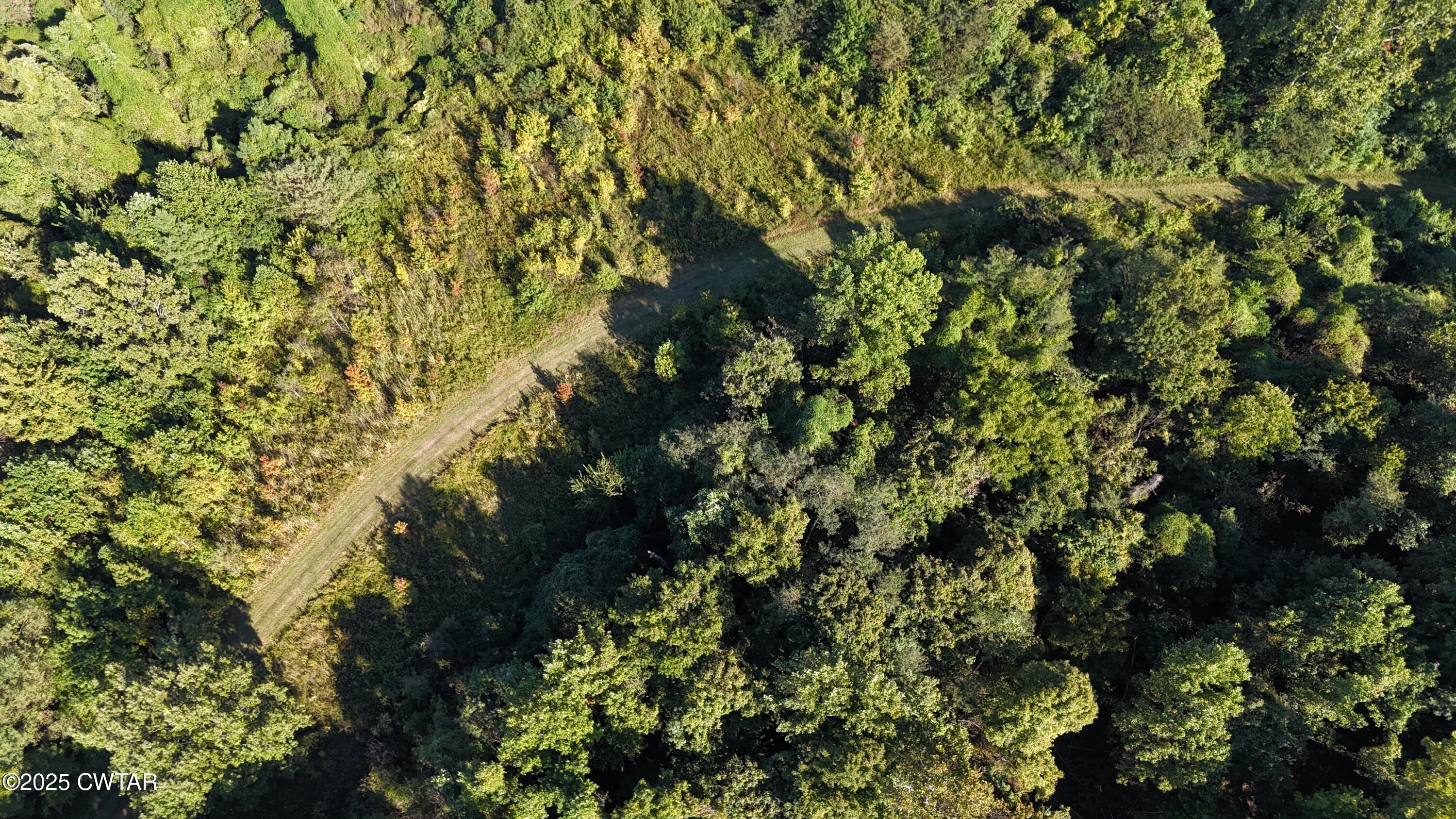 0 Dean Hill Road Hornbeak, TN 38232 - Photo 5 of 57 DJI_20251001154901_0270_D