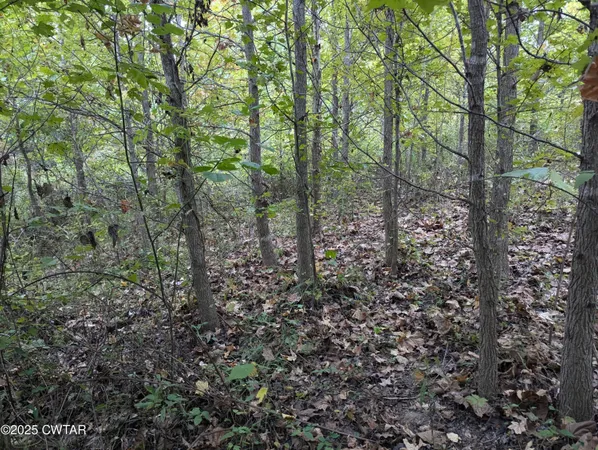 $219,500 | 0 Dean Hill Road, Hornbeak, TN 38232