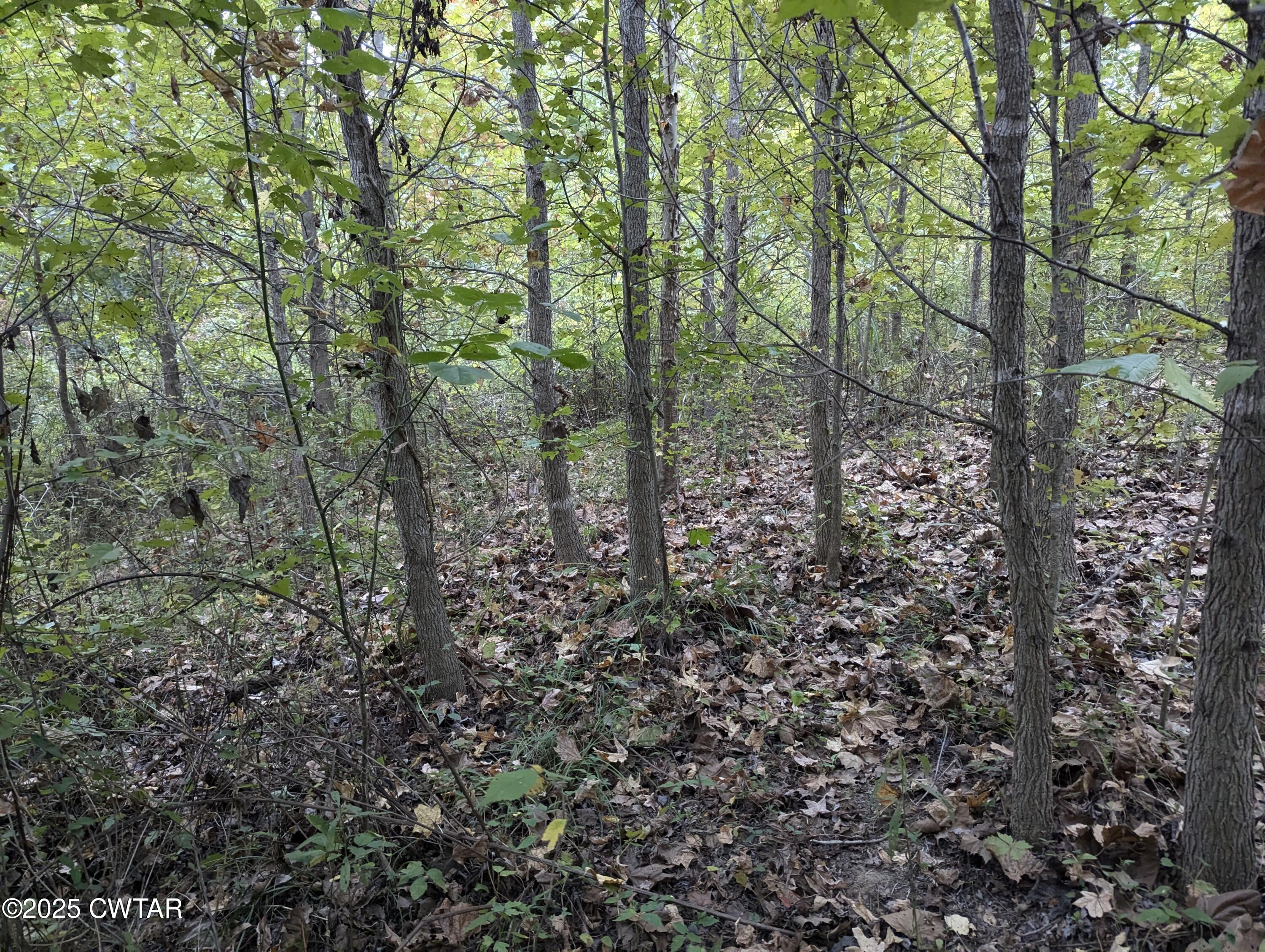 0 Dean Hill Road Hornbeak, TN 38232 - Photo 51 of 57 PXL_20241015_183601109