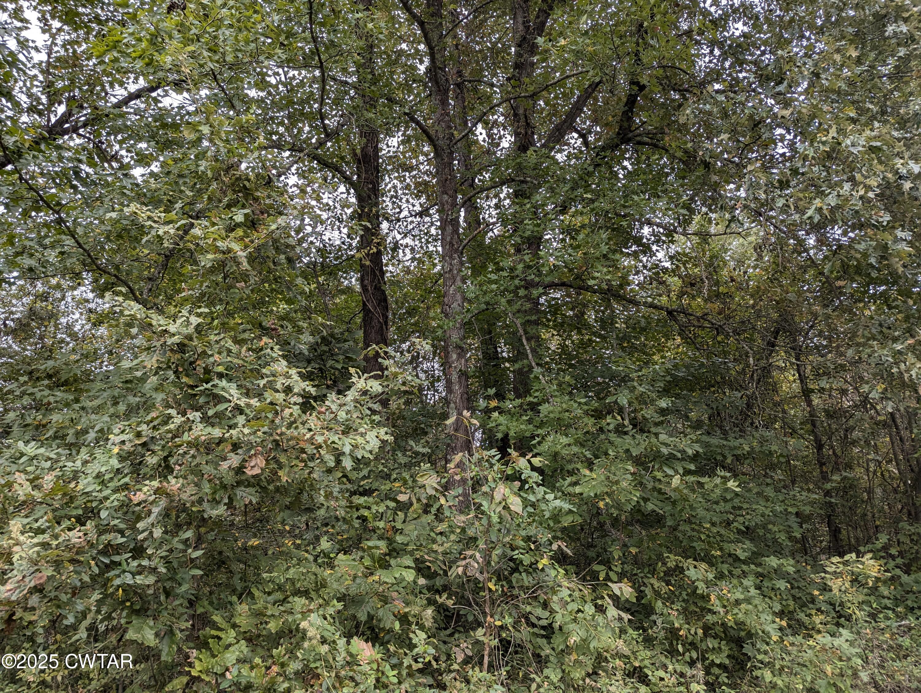 0 Dean Hill Road Hornbeak, TN 38232 - Photo 52 of 57 PXL_20241015_184016123