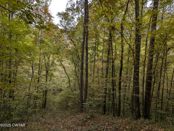 $219,500 | 0 Dean Hill Road, Hornbeak, TN 38232