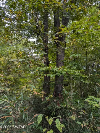 $219,500 | 0 Dean Hill Road, Hornbeak, TN 38232