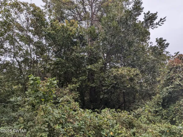 $219,500 | 0 Dean Hill Road, Hornbeak, TN 38232