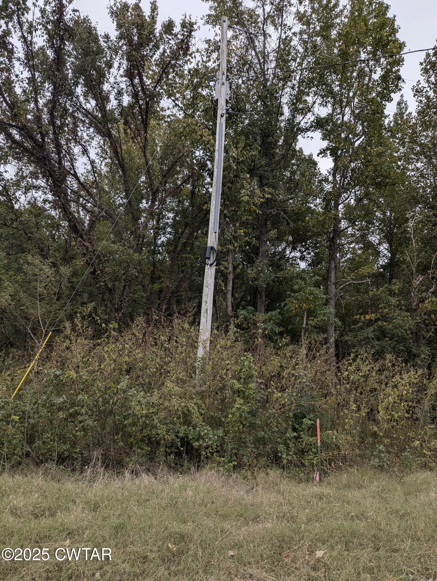 0 Dean Hill Road Hornbeak, TN 38232 - Photo 57 of 57 PXL_20241015_195654108